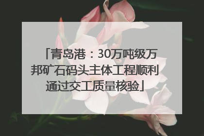 青岛港：30万吨级万邦矿石码头主体工程顺利通过交工质量核验
