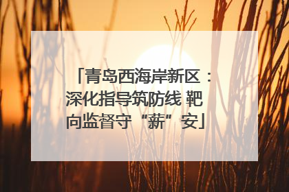 青岛西海岸新区：深化指导筑防线 靶向监督守“薪”安