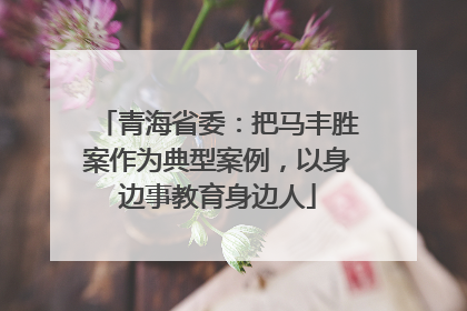 青海省委：把马丰胜案作为典型案例，以身边事教育身边人