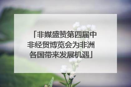 非媒盛赞第四届中非经贸博览会为非洲各国带来发展机遇