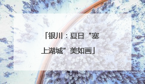 银川：夏日“塞上湖城”美如画
