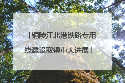 铜陵江北港铁路专用线建设取得重大进展