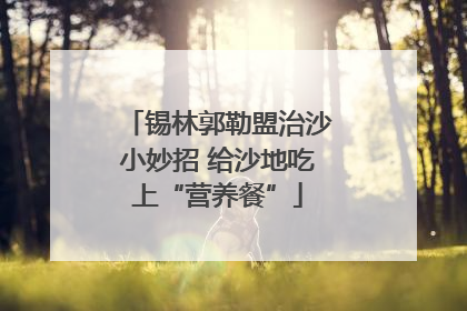锡林郭勒盟治沙小妙招 给沙地吃上“营养餐”