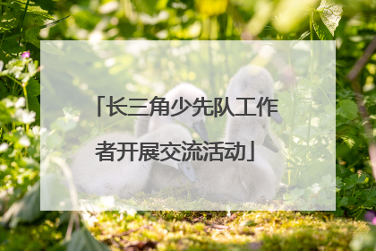长三角少先队工作者开展交流活动