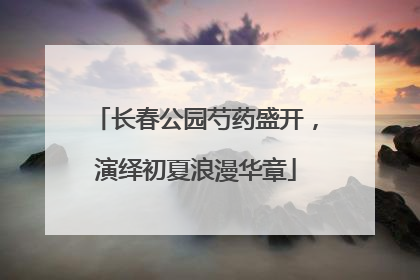 长春公园芍药盛开，演绎初夏浪漫华章