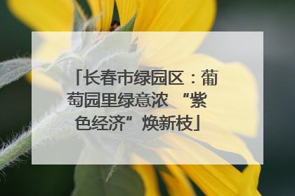 长春市绿园区：葡萄园里绿意浓 “紫色经济”焕新枝