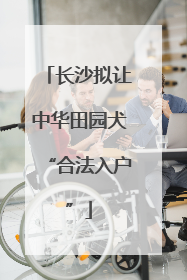 长沙拟让中华田园犬“合法入户”