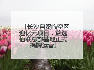 长沙自贸临空区迎亿元项目，益选佰联总部基地正式揭牌运营