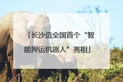 长沙造全国首个“智能押运机器人”亮相