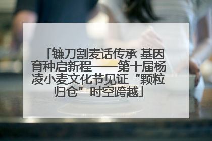 镰刀割麦话传承 基因育种启新程——第十届杨凌小麦文化节见证“颗粒归仓”时空跨越