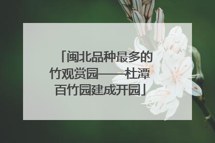 闽北品种最多的竹观赏园——杜潭百竹园建成开园
