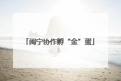 闽宁协作孵“金”蛋
