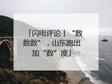 闪电评论丨“数数数”，山东跑出加“数”度