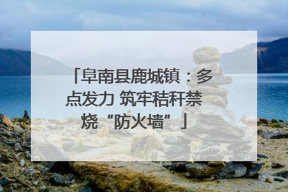 阜南县鹿城镇：多点发力 筑牢秸秆禁烧“防火墙”