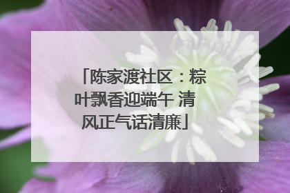 陈家渡社区：粽叶飘香迎端午 清风正气话清廉