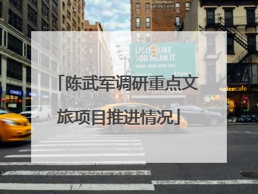 陈武军调研重点文旅项目推进情况
