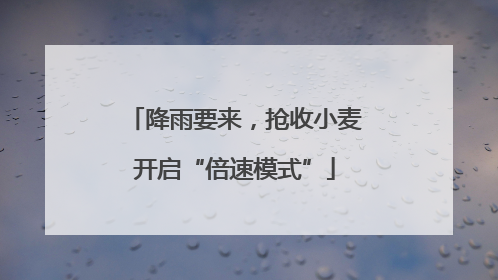 降雨要来，抢收小麦开启“倍速模式”