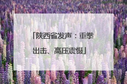 陕西省发声：重拳出击、高压震慑