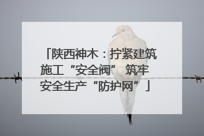 陕西神木：拧紧建筑施工“安全阀” 筑牢安全生产“防护网”