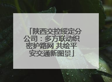 陕西交控绥定分公司：多方联动织密护路网 共绘平安交通新图景