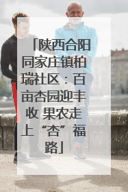 陕西合阳同家庄镇柏瑞社区：百亩杏园迎丰收 果农走上“杏”福路