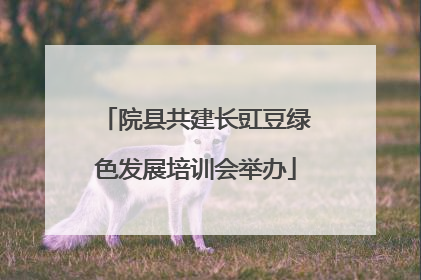院县共建长豇豆绿色发展培训会举办