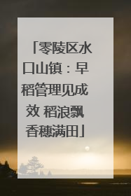 零陵区水口山镇：早稻管理见成效 稻浪飘香穗满田