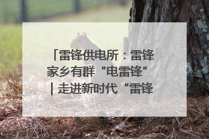 雷锋供电所：雷锋家乡有群“电雷锋”｜走进新时代“雷锋传人 长沙榜样”