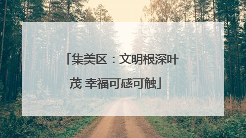 集美区：文明根深叶茂 幸福可感可触