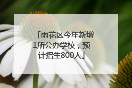 雨花区今年新增1所公办学校，预计招生800人
