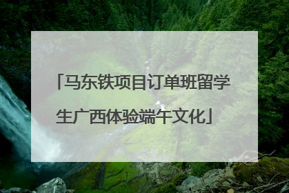 马东铁项目订单班留学生广西体验端午文化