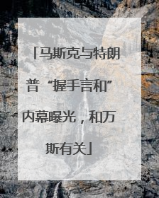 马斯克与特朗普“握手言和”内幕曝光，和万斯有关