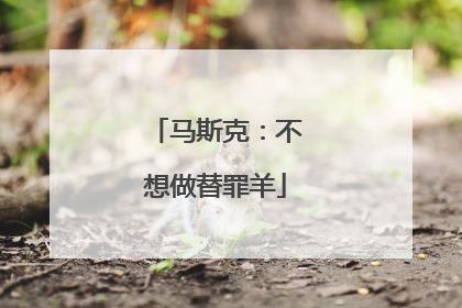 马斯克：不想做替罪羊