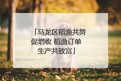 马龙区稻渔共舞促增收 稻渔订单生产共致富