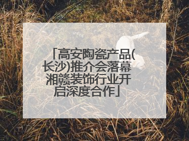 高安陶瓷产品(长沙)推介会落幕 湘赣装饰行业开启深度合作