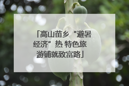 高山苗乡“避暑经济”热 特色旅游铺就致富路