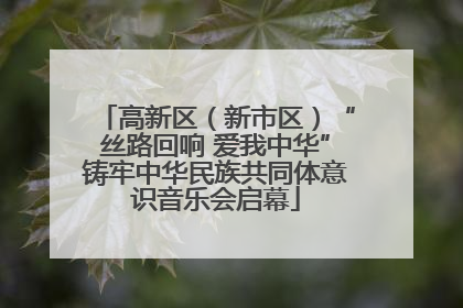 高新区（新市区）“丝路回响 爱我中华”铸牢中华民族共同体意识音乐会启幕