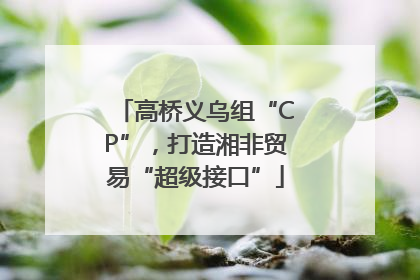 高桥义乌组“CP”，打造湘非贸易“超级接口”