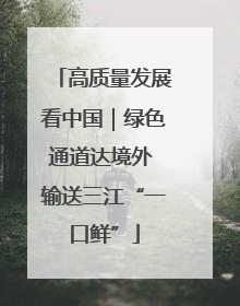 高质量发展看中国｜绿色通道达境外 输送三江“一口鲜”