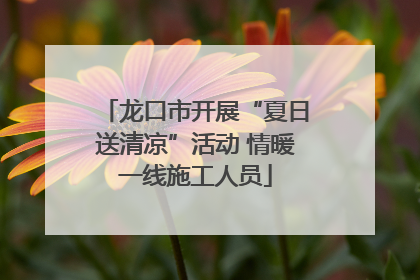 龙口市开展“夏日送清凉”活动 情暖一线施工人员