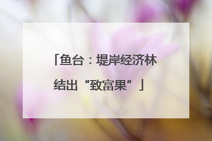 鱼台：堤岸经济林结出“致富果”