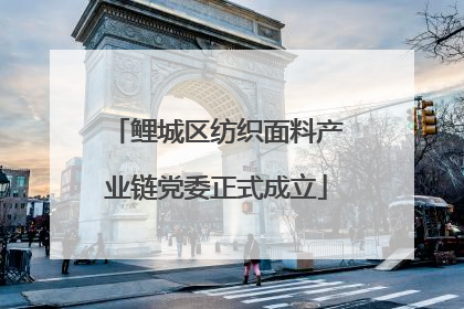 鲤城区纺织面料产业链党委正式成立