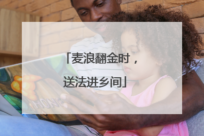 麦浪翻金时，送法进乡间