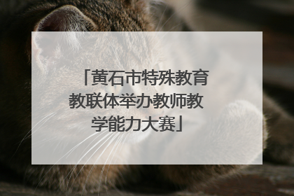 黄石市特殊教育教联体举办教师教学能力大赛