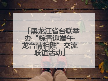 黑龙江省台联举办“粽香迎端午·龙台情相融”交流联谊活动