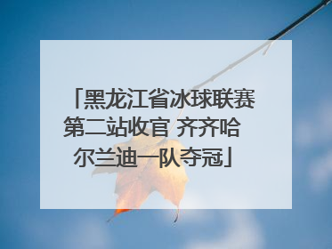 黑龙江省冰球联赛第二站收官 齐齐哈尔兰迪一队夺冠
