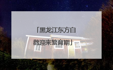 黑龙江东方白鹳迎来繁育期