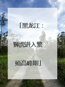 黑龙江：狮虎进入繁殖高峰期