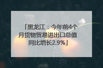 黑龙江：今年前4个月货物贸易进出口总值同比增长2.9%