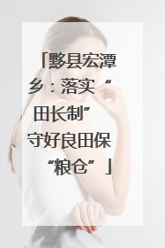 黟县宏潭乡：落实“田长制” 守好良田保“粮仓”